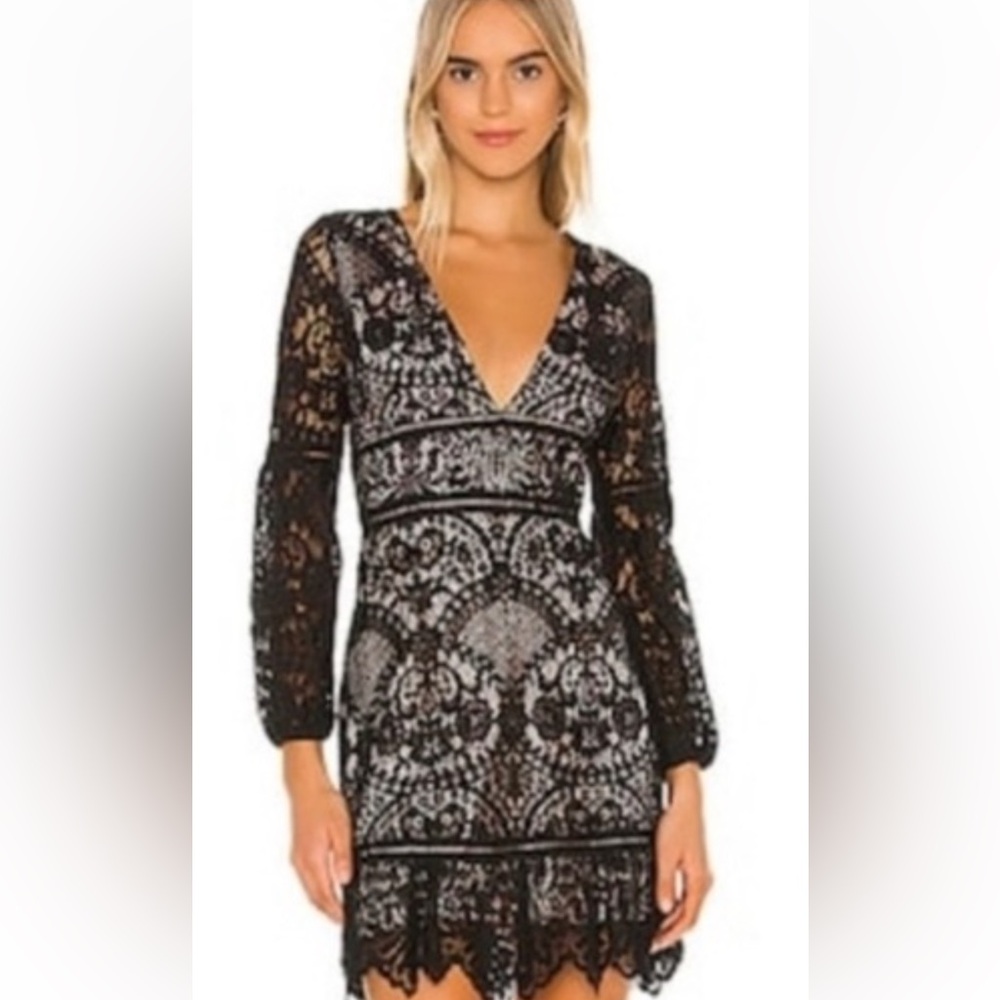 BB Dakota Elegant Black and Tan  Lace Dress